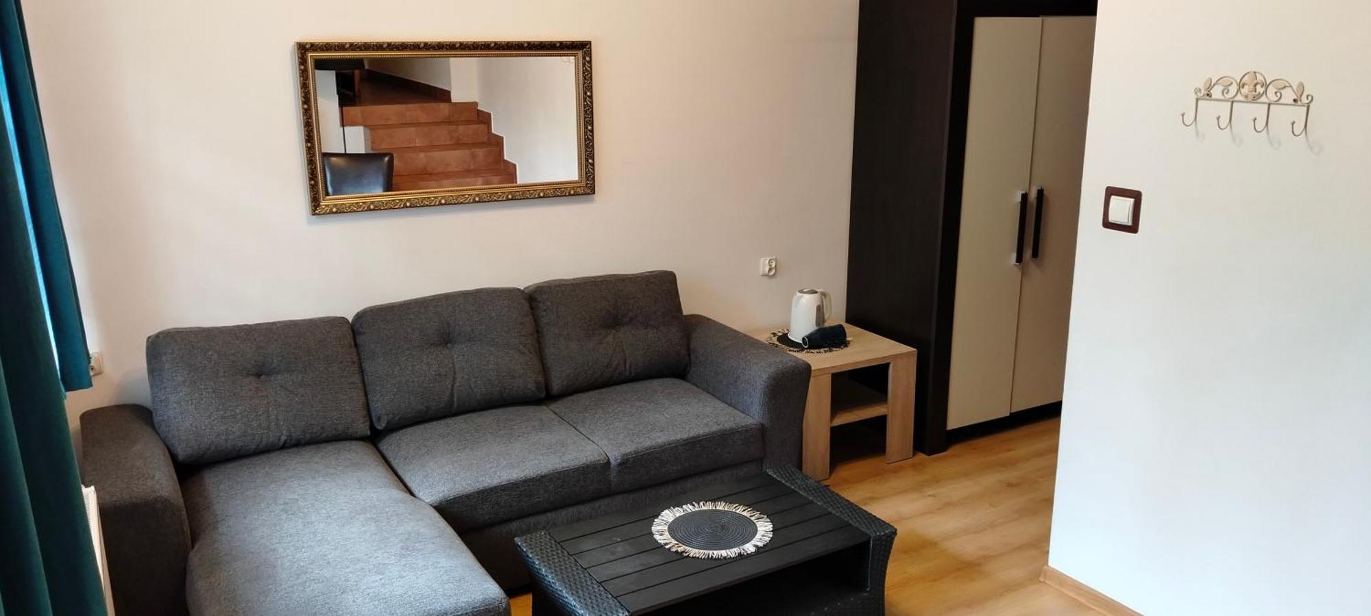 Brzoza W Centrum Zakopanego Kamer foto